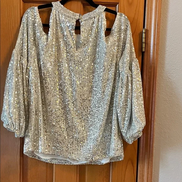 CeCe Glittering Silver Sequin Blouse - Picture 3 of 3